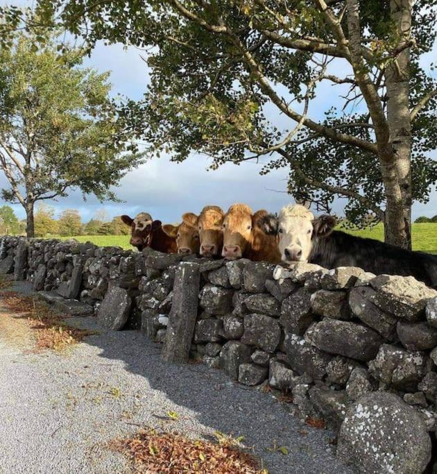 The Lookout Hotel Skibbereen Bagian luar foto